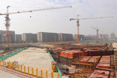 徐征一行調研阿里巴巴項目并召開工程總承包模式專題研討會