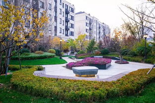 佛山地區(qū)專業(yè)承包園林綠化設(shè)計施工 花園養(yǎng)護(hù)工程 別墅設(shè)計施工