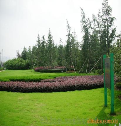 承攬綠化工程、園林施工、園林綠化工程養護