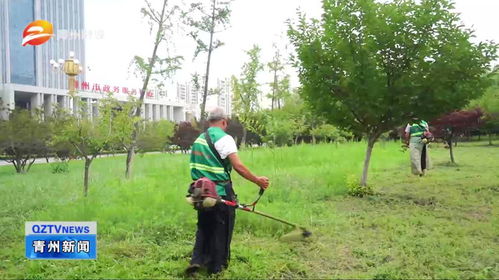 濰坊青州 加強園林綠化管護(hù) 提升城市綠色品質(zhì)