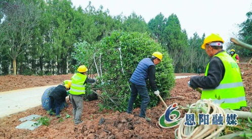 假期不停工，大梁山城市公園建設加速推進體育場地設施工程