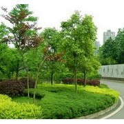 重慶市飛揚(yáng)景觀(guān)園林設(shè)計(jì)建設(shè)與園林綠化工程施工